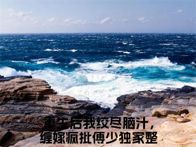 主角重生后我绞尽脑汁，缠嫁疯批傅少小说傅云舟沈梨小说全文免费阅读（免费）+（番外）