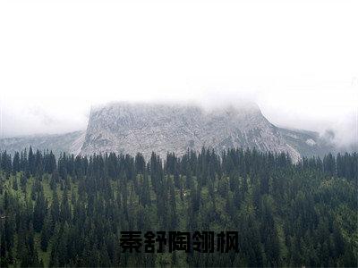 秦舒陶翎枫免费阅读（秦舒陶翎枫）全文免费阅读无弹窗大结局_秦舒陶翎枫免费阅读最新章节列表_笔趣阁（秦舒陶翎枫）