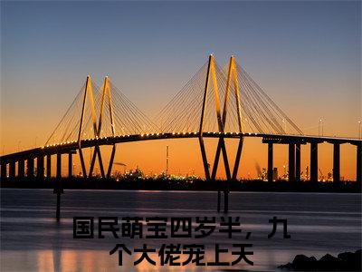 俞鱼（国民萌宝四岁半，九个大佬宠上天）全文免费阅读无弹窗大结局_俞鱼完整章节阅读