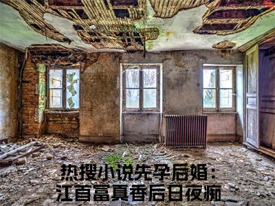 毛球江远帆高甜小说最新章节-先孕后婚：江首富真香后日夜痴缠全文阅读
