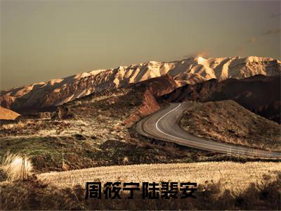 完本小说（周筱宁陆裴安）精彩试读-周筱宁陆裴安小说大结局