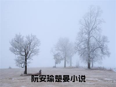 阮安瑜楚晏小说全文免费阅读无弹窗大结局_(阮安瑜楚晏)阮安瑜楚晏最新章节列表笔趣阁（阮安瑜楚晏）