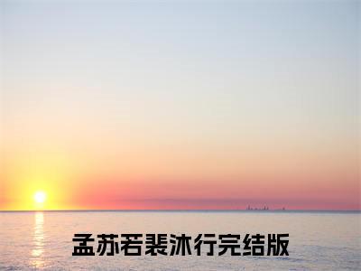 孟苏若裴沐行你稀罕不代表我稀罕免费阅读无弹窗小说孟苏若裴沐行最新章节