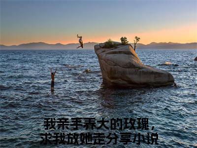 宁玫宁淮（我亲手养大的玫瑰，求我放她走）全文免费阅读无弹窗大结局_我亲手养大的玫瑰，求我放她走完整版小说阅读（宁玫宁淮）