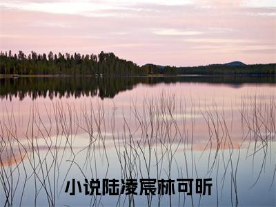 小说全文免费阅读无弹窗大结局_（陆凌宸林可昕）全文在线阅读