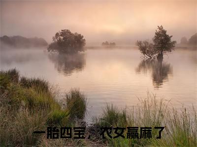王七染（一胎四宝，农女赢麻了）全文免费阅读无弹窗大结局_王七染小说（一胎四宝，农女赢麻了）最新章节列表