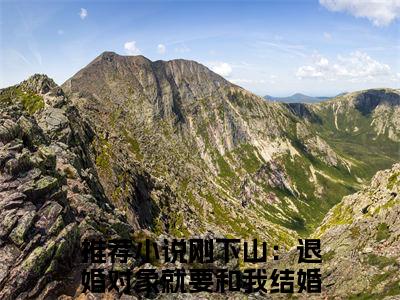 张枫全文免费阅读无弹窗大结局-刚下山：退婚对象就要和我结婚全文在线阅读最新章节列表_笔趣阁