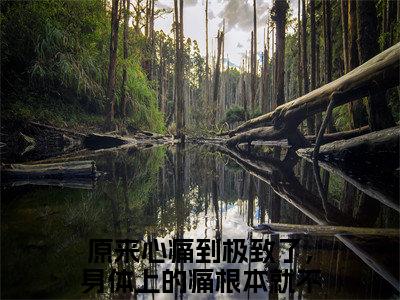 原来心痛到极致了，身体上的痛根本就不值一提（颜萝）全网首发最火小说-主角颜萝的小说完整版免费阅读