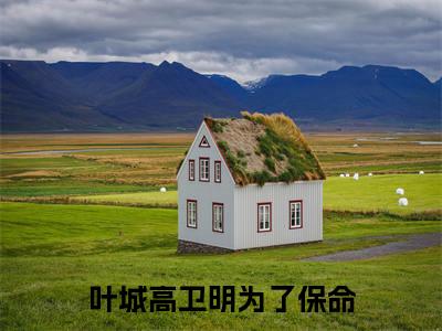 叶城高卫明（为了保命,他公布了可控核聚变）小说免费下载全本-叶城高卫明（为了保命,他公布了可控核聚变完整版）免费阅读