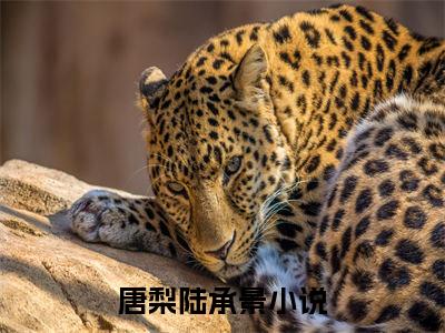 唐梨陆承景（唐梨陆承景）免费小说-唐梨陆承景（唐梨陆承景）完结版在线阅读