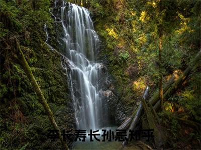 李长寿长孙忌小说（假皇帝，皇后嫔妃一个个送上门）免费阅读_李长寿长孙忌小说免费阅读-笔趣阁