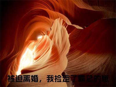 乔依顾策（被迫离婚，我捡走了霸总的崽）最新免费小说-被迫离婚，我捡走了霸总的崽（乔依顾策）全文全章节免费阅读
