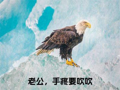 傅忱远宋姝（老公，手疼要吹吹）小说全文免费_傅忱远宋姝（老公，手疼要吹吹）最新章节目录笔趣阁