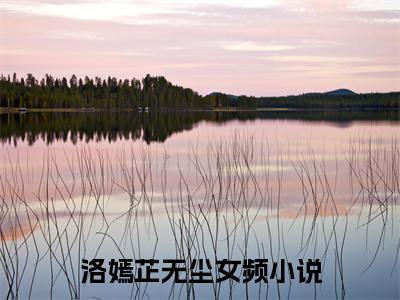 洛嫣芷无尘的小说(洛嫣芷无尘)最新章节全文免费阅读_笔趣阁