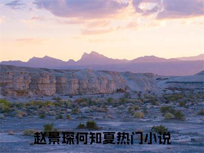 （赵景琛何知夏）是什么小说-（赵景琛何知夏）无弹窗免费阅读大结局最新章节列表_笔趣阁