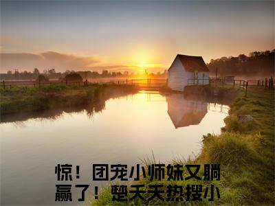 惊！团宠小师妹又躺赢了！楚夭夭全文免费阅读无弹窗大结局-惊！团宠小师妹又躺赢了！楚夭夭 全文全章节免费阅读