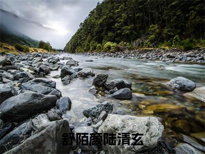 舒陌颜陆清玄小说（舒陌颜陆清玄）全文免费阅读无弹窗大结局_舒陌颜陆清玄小说最新章节列表_笔趣阁（舒陌颜陆清玄）