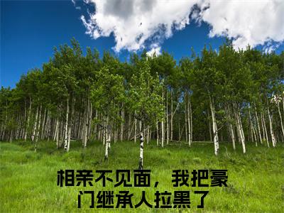 从容霍霆琛小说大结局精彩推荐，相亲不见面，我把豪门继承人拉黑了全文完整版在线阅读