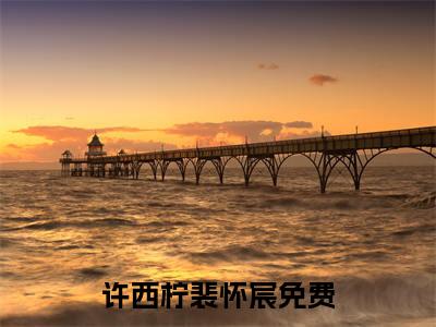 许西柠裴怀宸（许西柠裴怀宸)全文免费阅读无弹窗大结局_许西柠裴怀宸全文免费阅读_笔趣阁（许西柠裴怀宸）