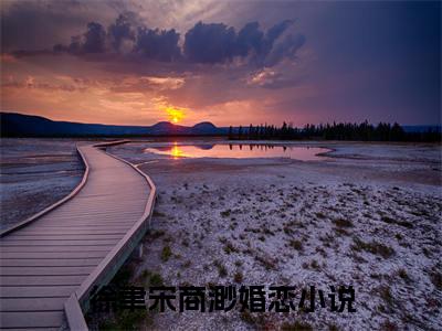 徐聿宋商渺小说（徐聿宋商渺）全文免费阅读无弹窗大结局_（徐聿宋商渺）徐聿宋商渺最新章节列表笔趣阁（徐聿宋商渺）