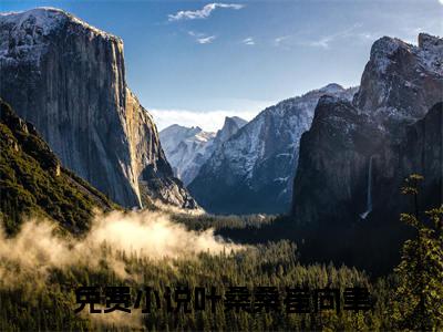 叶桑桑崔向聿全本资源免费阅读结局无删节主角：叶桑桑崔向聿小说全文阅读无弹窗