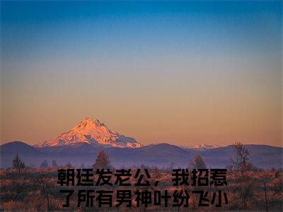 热门小说推荐朝廷发老公，我招惹了所有男神叶纷飞-朝廷发老公，我招惹了所有男神叶纷飞全文免费大结局
