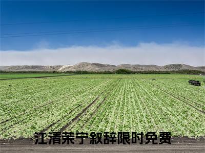 江清茉宁叙辞(江清茉宁叙辞)全文免费阅读大结局_江清茉宁叙辞最新章节列表_笔趣阁（江清茉宁叙辞）
