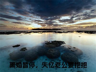 离婚暂停，失忆老公要抱抱季时彦苏妗完整全文在线阅读离婚暂停，失忆老公要抱抱全文大结局阅读无弹窗