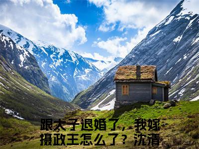 跟太子退婚了，我嫁摄政王怎么了？全网热搜（沈清瞳夜少冥）是什么小说，跟太子退婚了，我嫁摄政王怎么了？免费阅读无弹窗