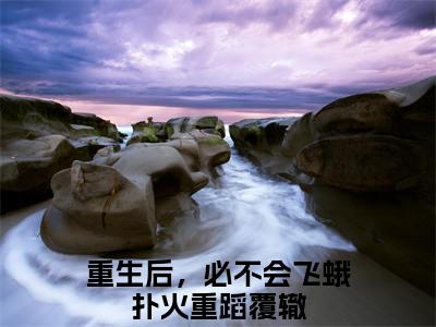 叶乐妍沈御京（重生后，必不会飞蛾扑火重蹈覆辙）全文免费阅读无弹窗大结局_（重生后，必不会飞蛾扑火重蹈覆辙）重生后，必不会飞蛾扑火重蹈覆辙最新章节列表