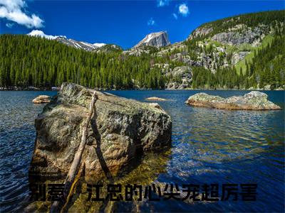 别惹，江总的心尖宠超厉害精彩章节在线阅读_黎初初江砚尘免费观看（别惹，江总的心尖宠超厉害）完结版_笔趣阁（黎初初江砚尘）