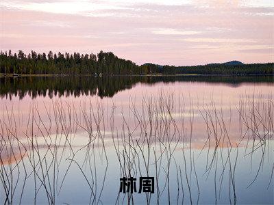 林周（美食：随机摆摊，顾客追我十条街）全文免费阅读无弹窗大结局_（林周）美食：随机摆摊，顾客追我十条街最新章节列表_笔趣阁