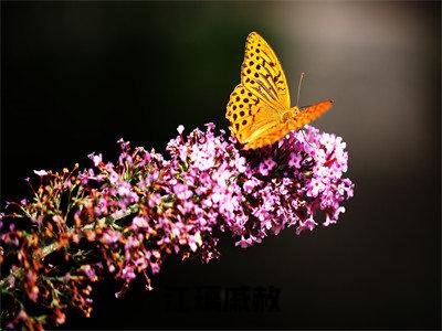 恃爱行凶：炮灰千金重生满级钓系（江璃戚赦）多人推荐阅读-精选小说（江璃戚赦）完整版免费阅读