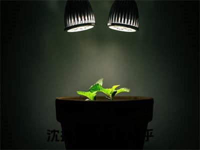 沈挽棠陆枭礼近期热推小说-沈挽棠陆枭礼小说精彩阅读