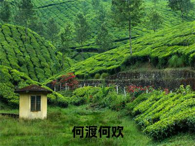 （渡何欢）是什么小说-何渡何欢全文免费阅读无弹窗大结局（渡何欢）最新章节列表