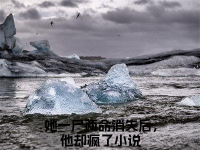 她一尸两命消失后，他却疯了全文免费阅读-陆心雨裴璟之最新章节小说免费阅读