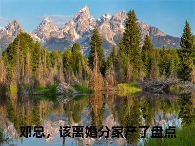 邓总，该离婚分家产了在线阅读（潘乐邓霍）全文免费阅读_潘乐邓霍最新章节列表_笔趣阁