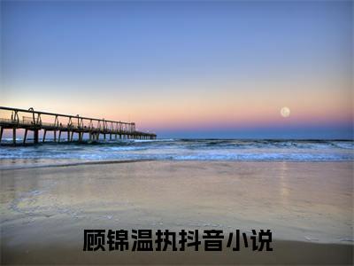 顾锦温执在线阅读（顾锦温执）全文无弹窗大结局_顾锦温执全文在线阅读无弹窗