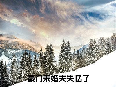 豪门未婚夫失忆了抖音新书热荐-秦骁图小艾全文在线赏析（豪门未婚夫失忆了）
