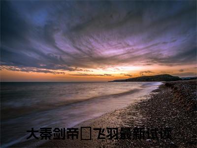 大秦剑帝贏飞羽新上精彩热文小说全文-大秦剑帝贏飞羽完整版全文在线赏析