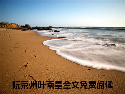 阮京州叶南星最新章节在线阅读-阮京州叶南星全文小说