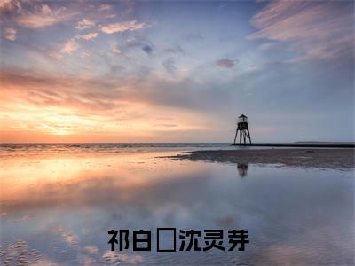 祁白璟沈灵芽独家小说-祁白璟沈灵芽无删版小说推荐