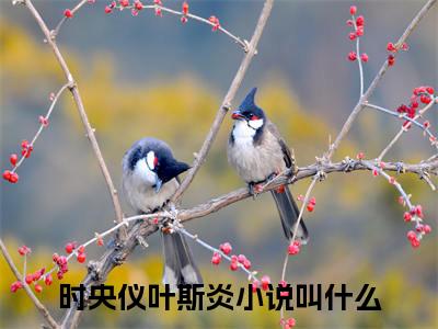 时央仪叶斯炎（时央仪叶斯炎小说）小说全文免费阅读无弹窗大结局_（时央仪叶斯炎）时央仪叶斯炎最新章节列表_笔趣阁