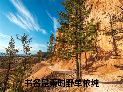 秦时野单依纯热门榜单小说 秦时野单依纯完本小说无弹窗免费阅读