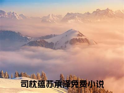 司枕蕴苏承泽全集小说完整版大结局_司枕蕴苏承泽完结版在线阅读