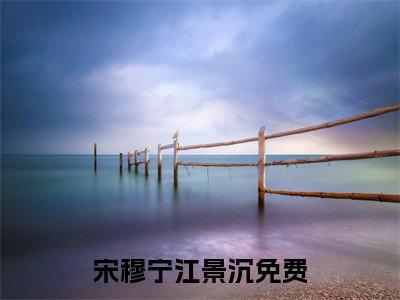 宋穆宁江景沉已完结小说全集阅读（宋穆宁江景沉完整版大结局）宋穆宁江景沉小说全文阅读笔趣阁