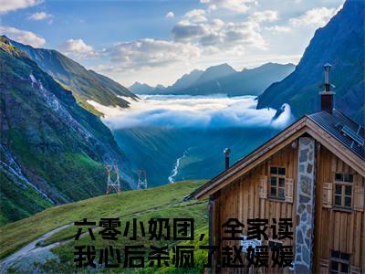 高赞小说六零小奶团，全家读我心后杀疯了赵媛媛（六零小奶团，全家读我心后杀疯了赵媛媛小说免费阅读）完结阅读_六零小奶团，全家读我心后杀疯了赵媛媛全文免费阅读最新章节大结局