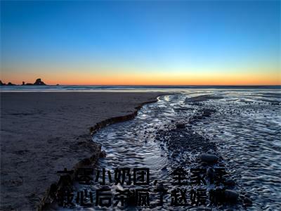 六零小奶团，全家读我心后杀疯了赵媛媛全文免费阅读无弹窗大结局_六零小奶团，全家读我心后杀疯了赵媛媛免费阅读最新章节列表_笔趣阁（六零小奶团，全家读我心后杀疯了赵媛媛）