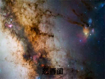 怨春闺免费小说，白岑裴徊景全文免费阅读无弹窗大结局