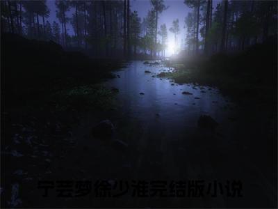 宁芸梦徐少淮（宁芸梦徐少淮）全集免费阅读无弹窗_（宁芸梦徐少淮小说免费阅读）_笔趣阁